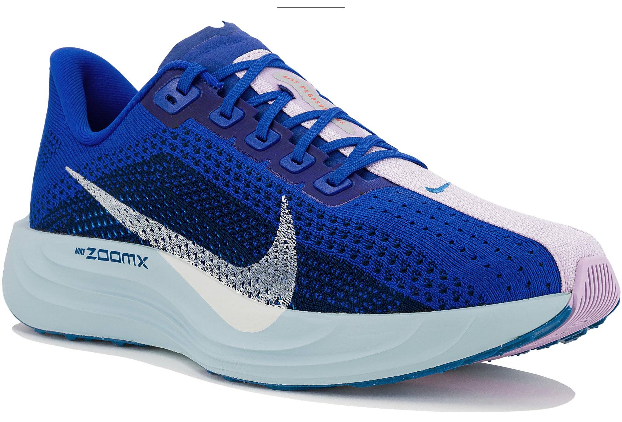 Nike Pegasus Plus 