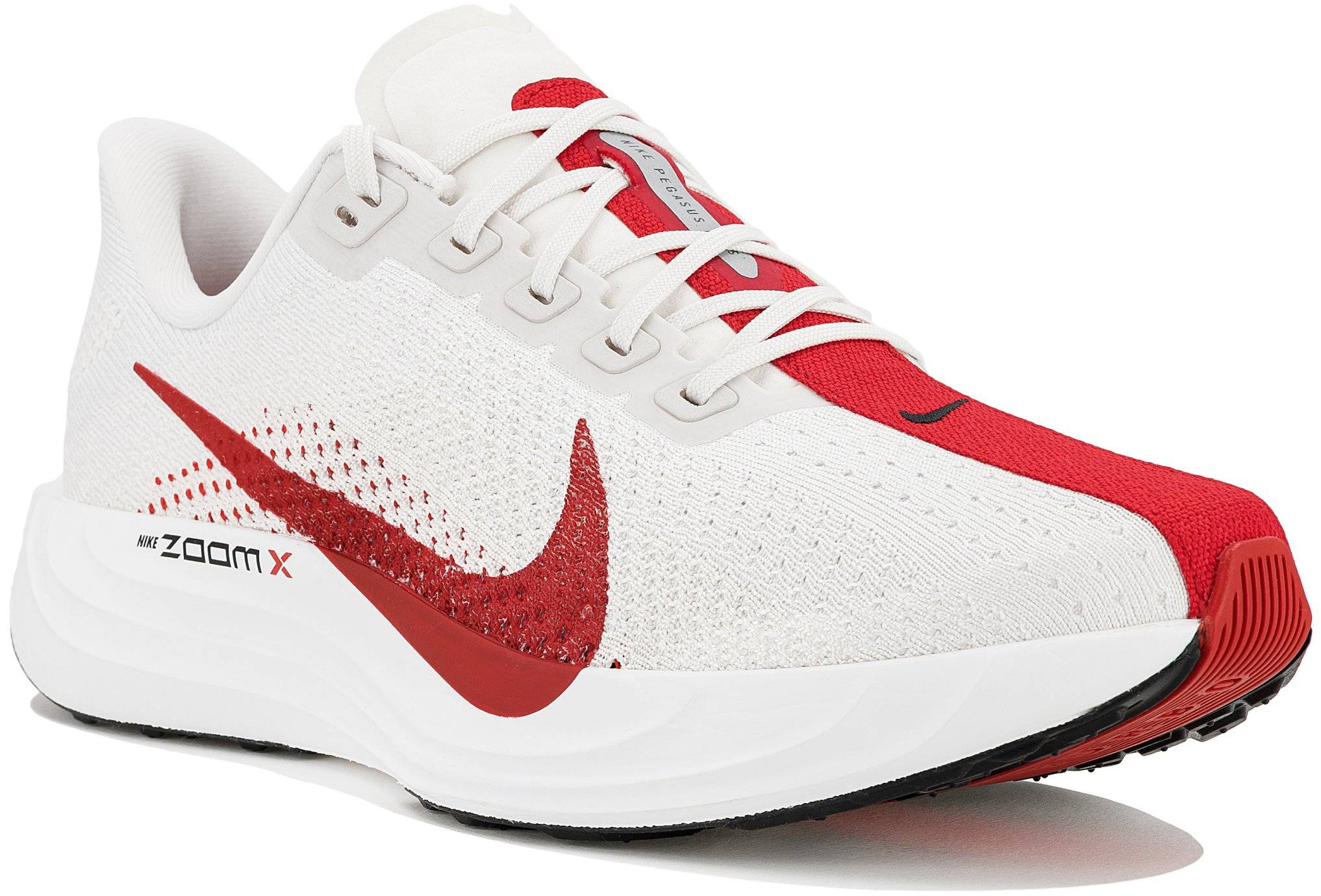 Nike Pegasus Plus 