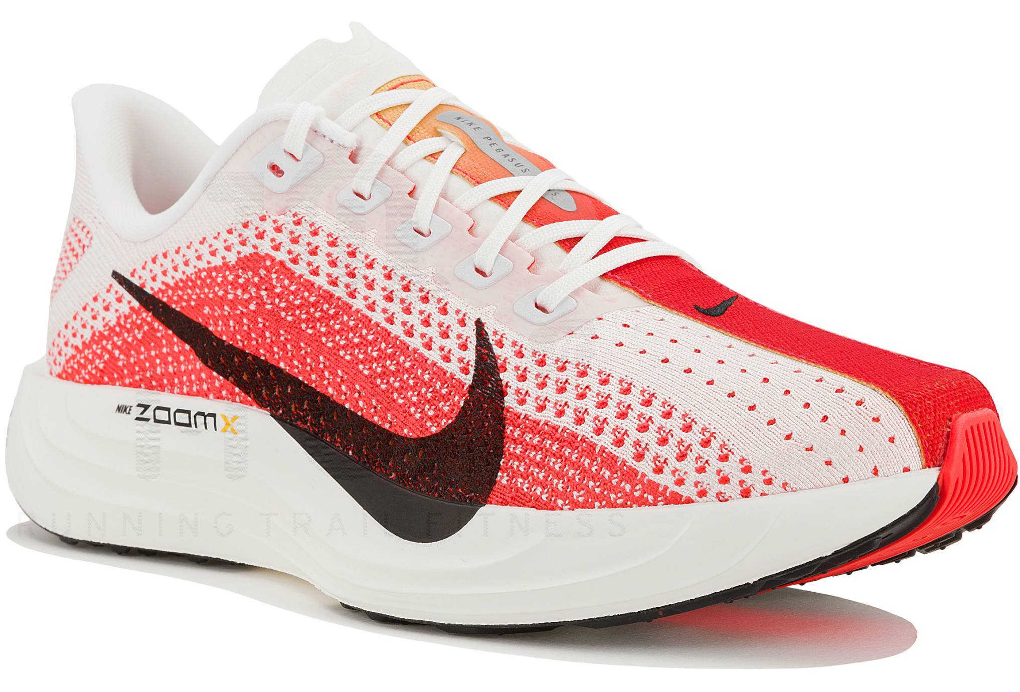 Nike Pegasus Plus homme Chaussures de running homme FQ7262-103