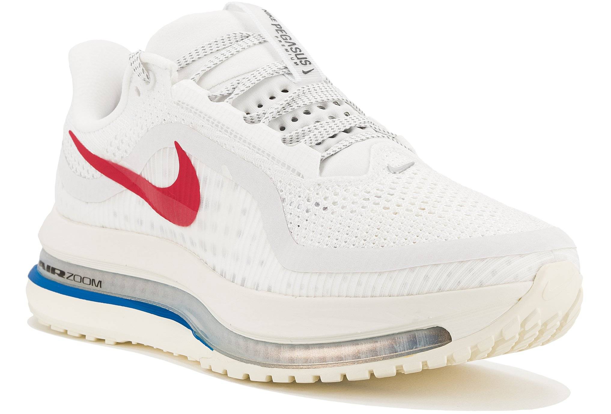 Nike Pegasus Premium 