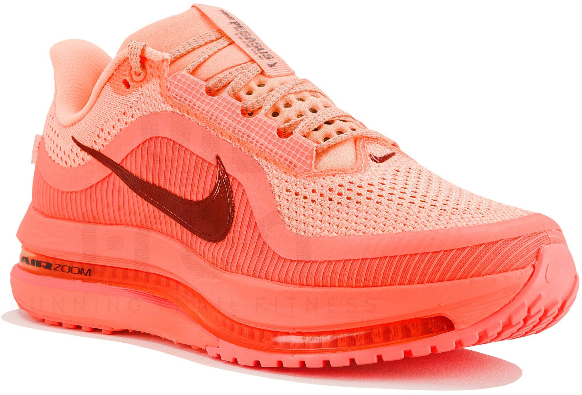 Nike Pegasus Premium 