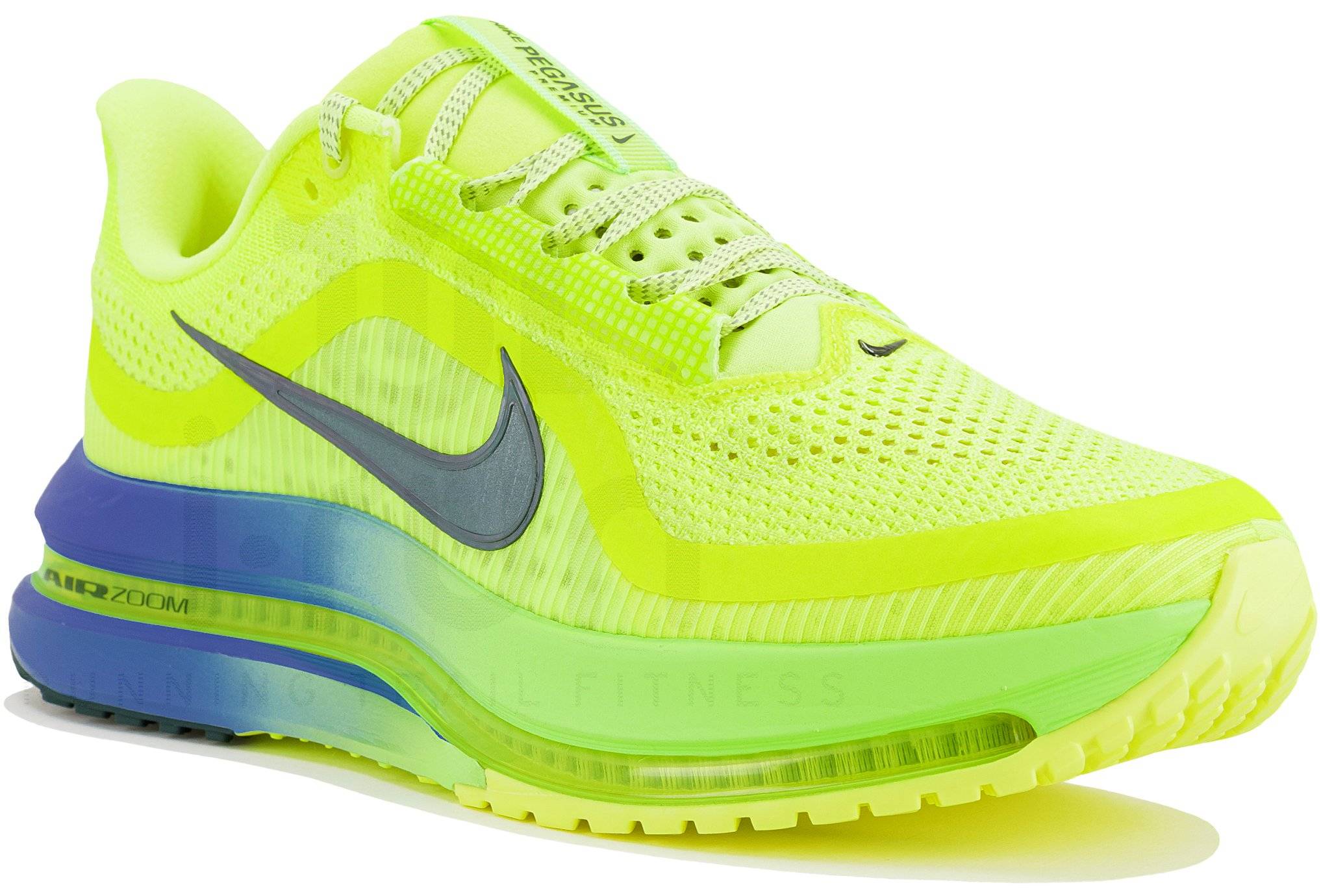 Nike Pegasus Premium 