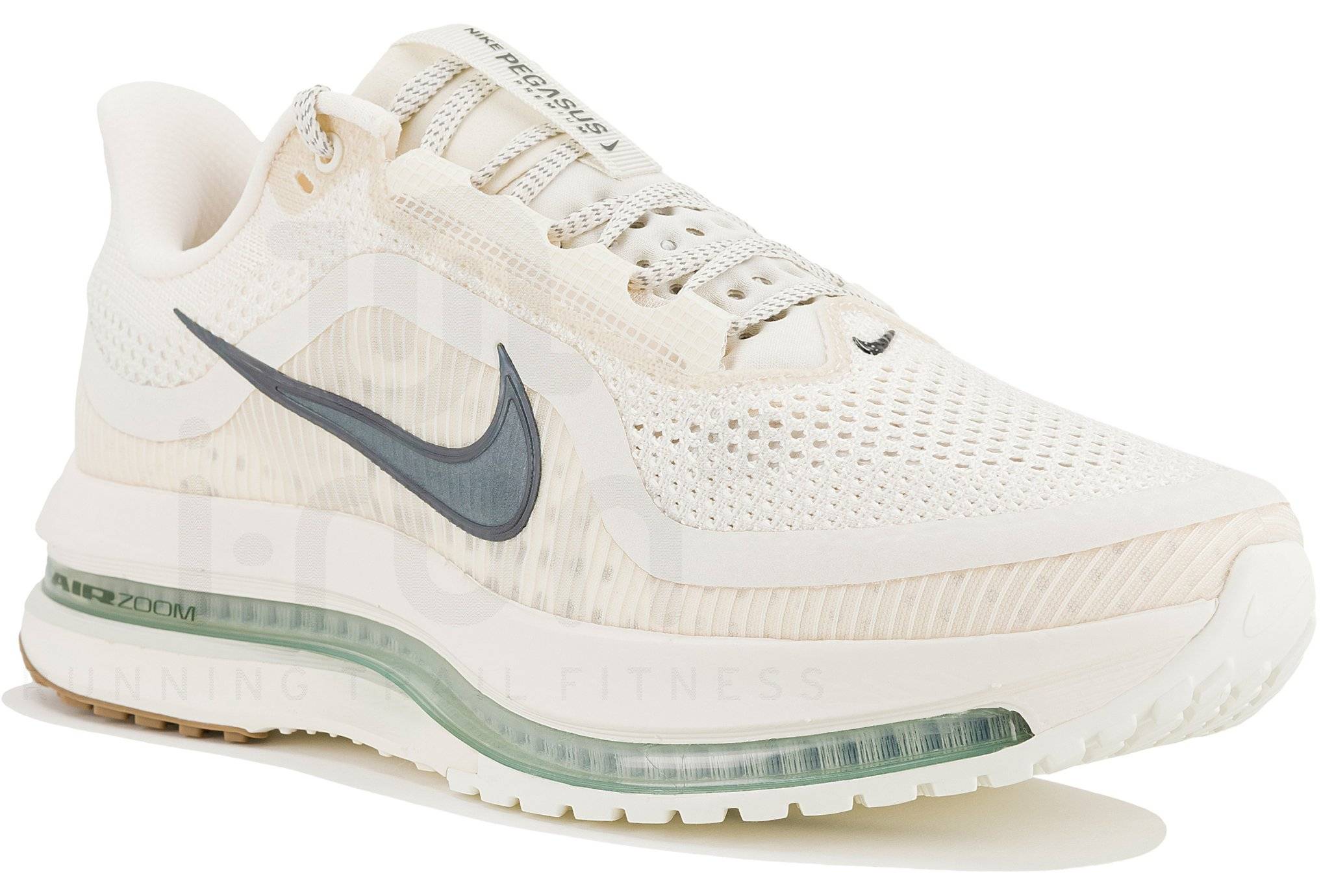 Nike Pegasus Premium 