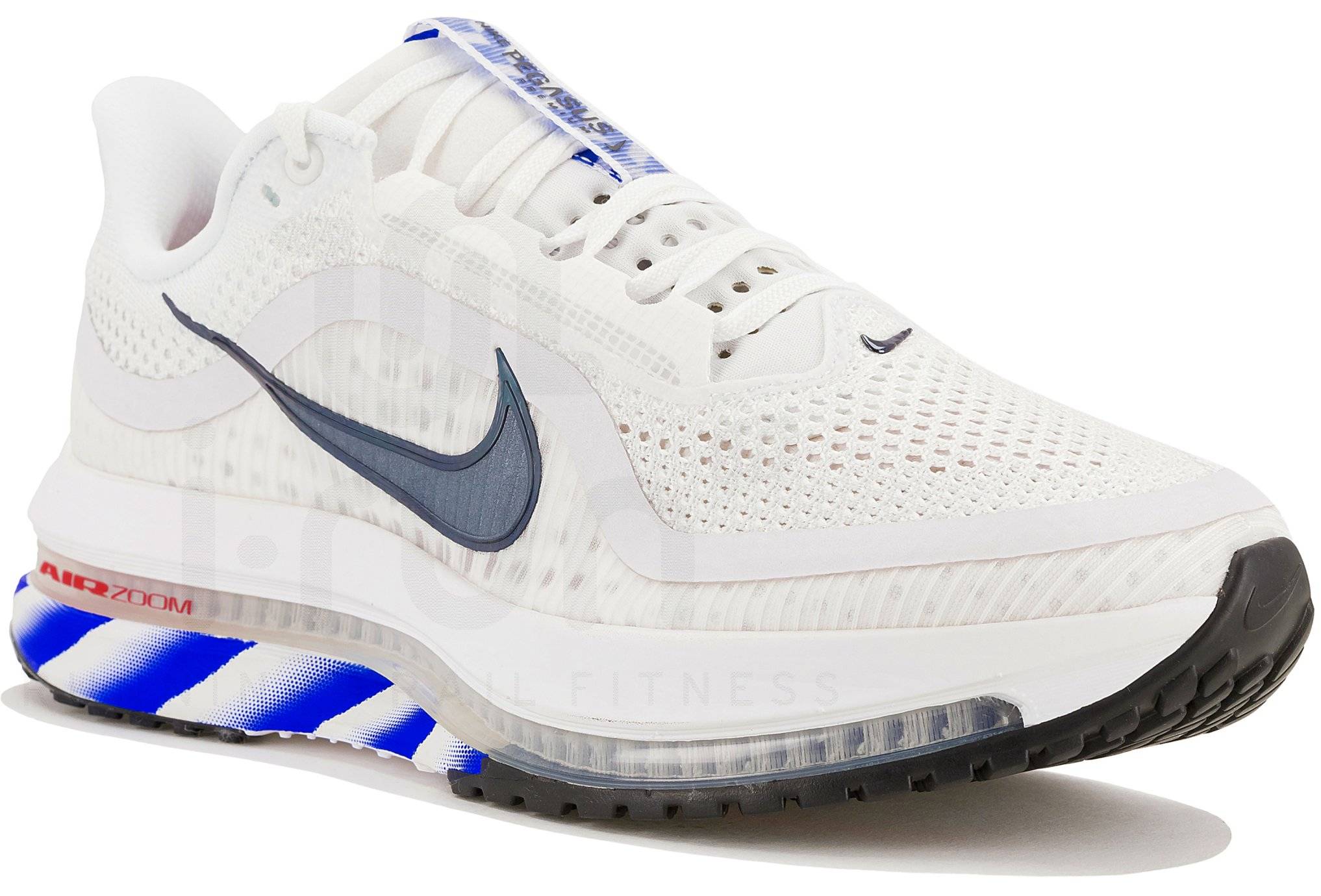 Nike Pegasus Premium 