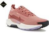Nike Pegasus Trail 5 Gore-Tex