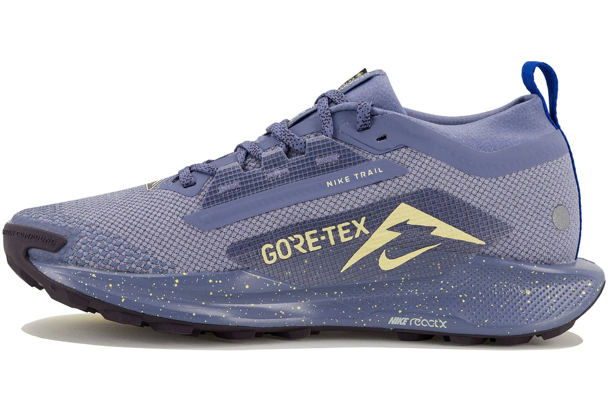 Nike Pegasus Trail Gore-Tex femme FQ0912-402