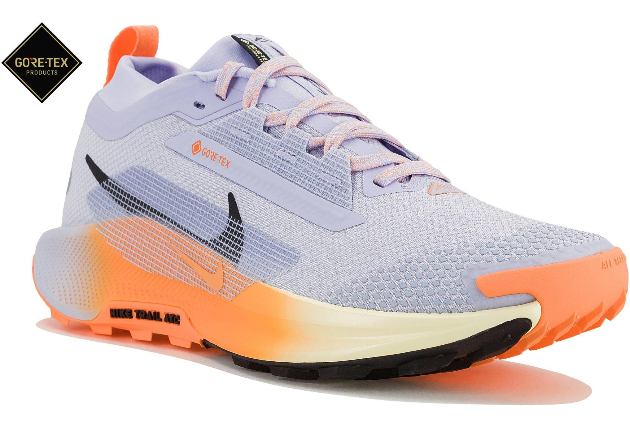 Nike Pegasus Trail 5 Gore-Tex 