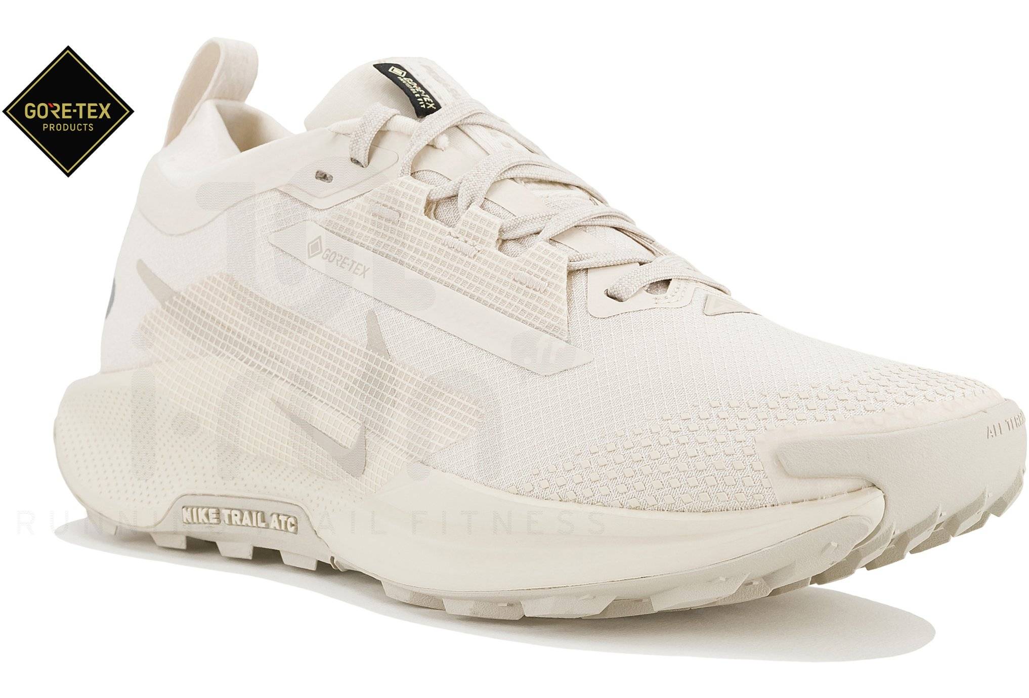 Nike Pegasus Trail 5 Gore-Tex 