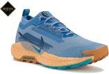 Nike Pegasus Trail 5 Gore-Tex