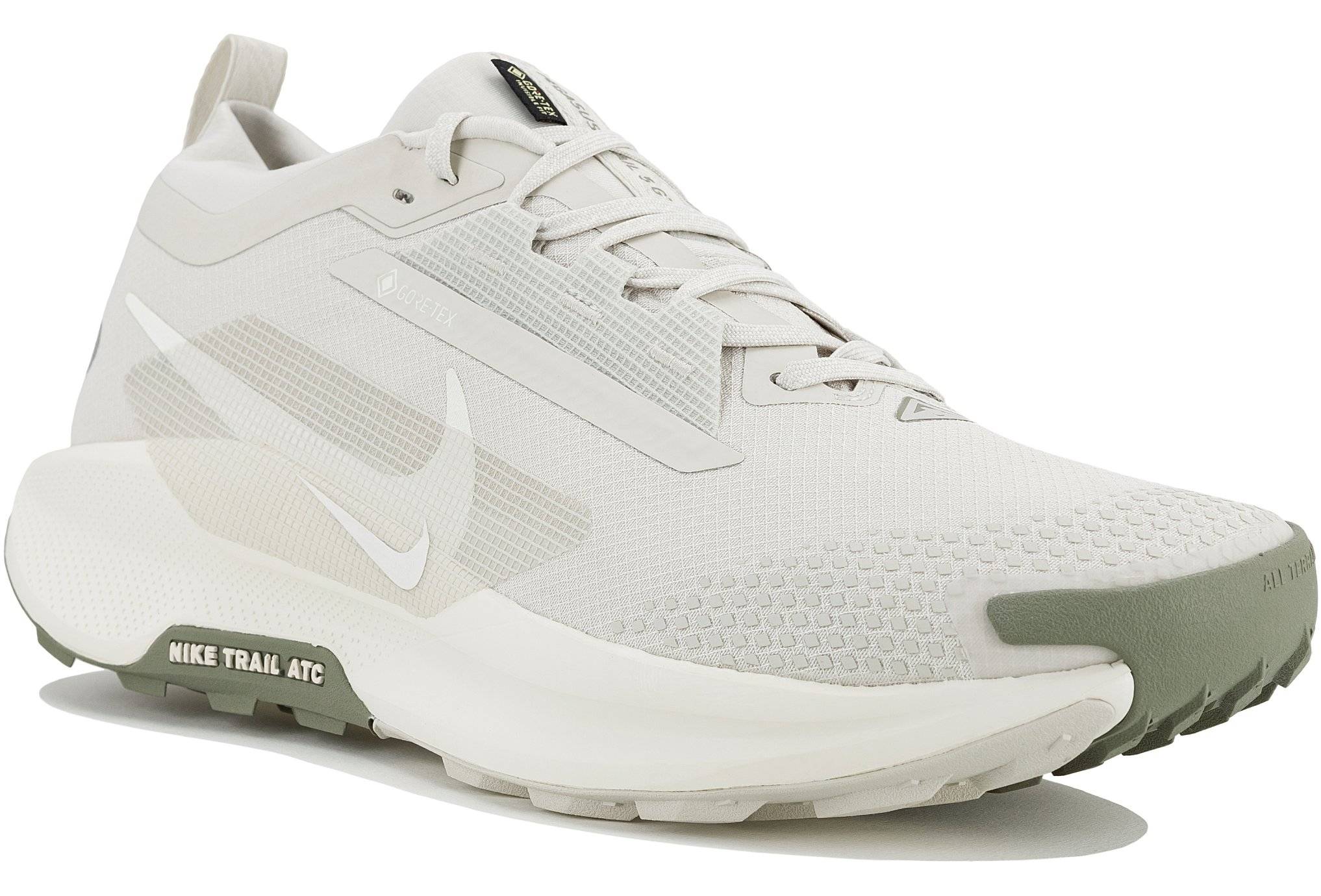 Nike Pegasus Trail 5 Gore-Tex 