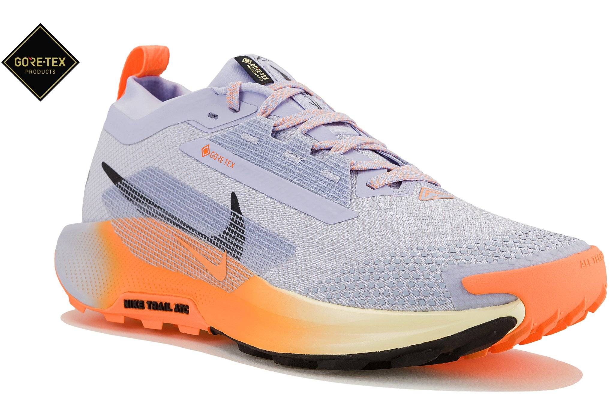 Nike Pegasus Trail 5 Gore-Tex 