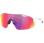 Oakley Cybr Dyno Prizm Road