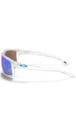 Oakley Gibston Prizm M