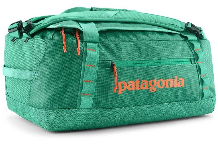 Patagonia Black Hole Duffel 40L 