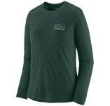 Patagonia Capilene Cool Merino Blend Graphic