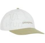 Patagonia Fitz Roy Icon Trad