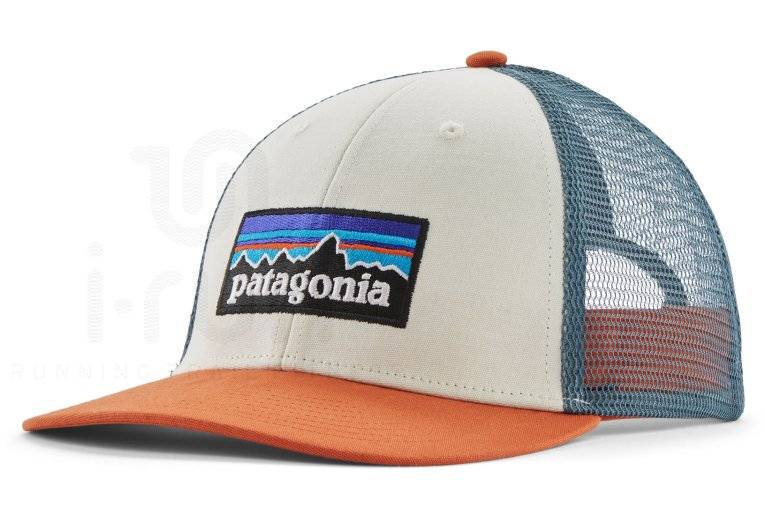 Patagonia P-6 Logo LoPro Trucker 