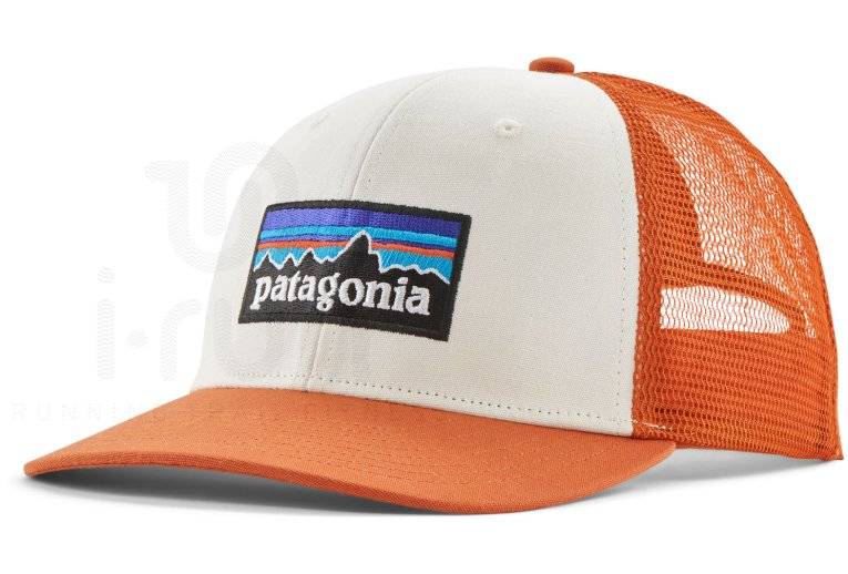 Patagonia P-6 Logo Trucker 