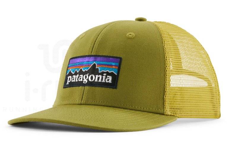 Patagonia P-6 Logo Trucker 
