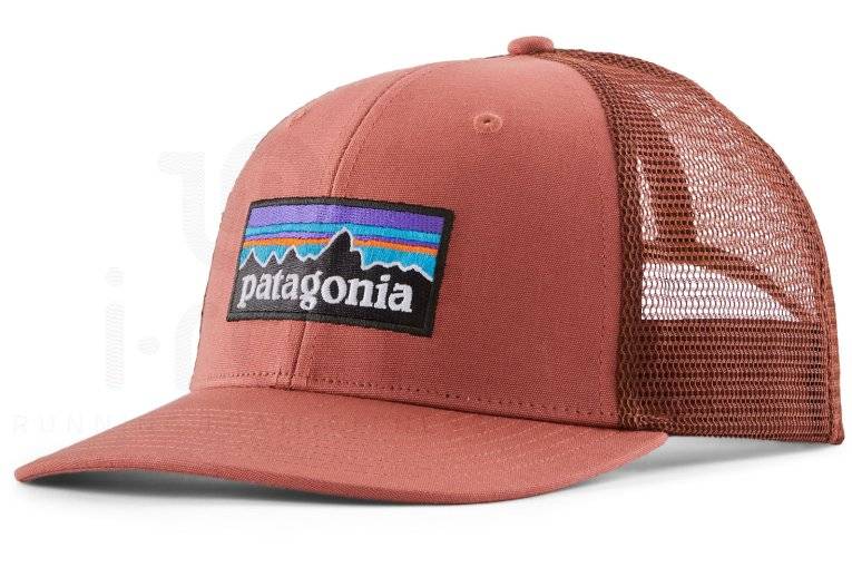 Patagonia P-6 Logo Trucker 