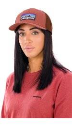 Patagonia P-6 Logo Trucker
