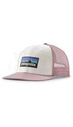 Patagonia P-6 Logo Trucker