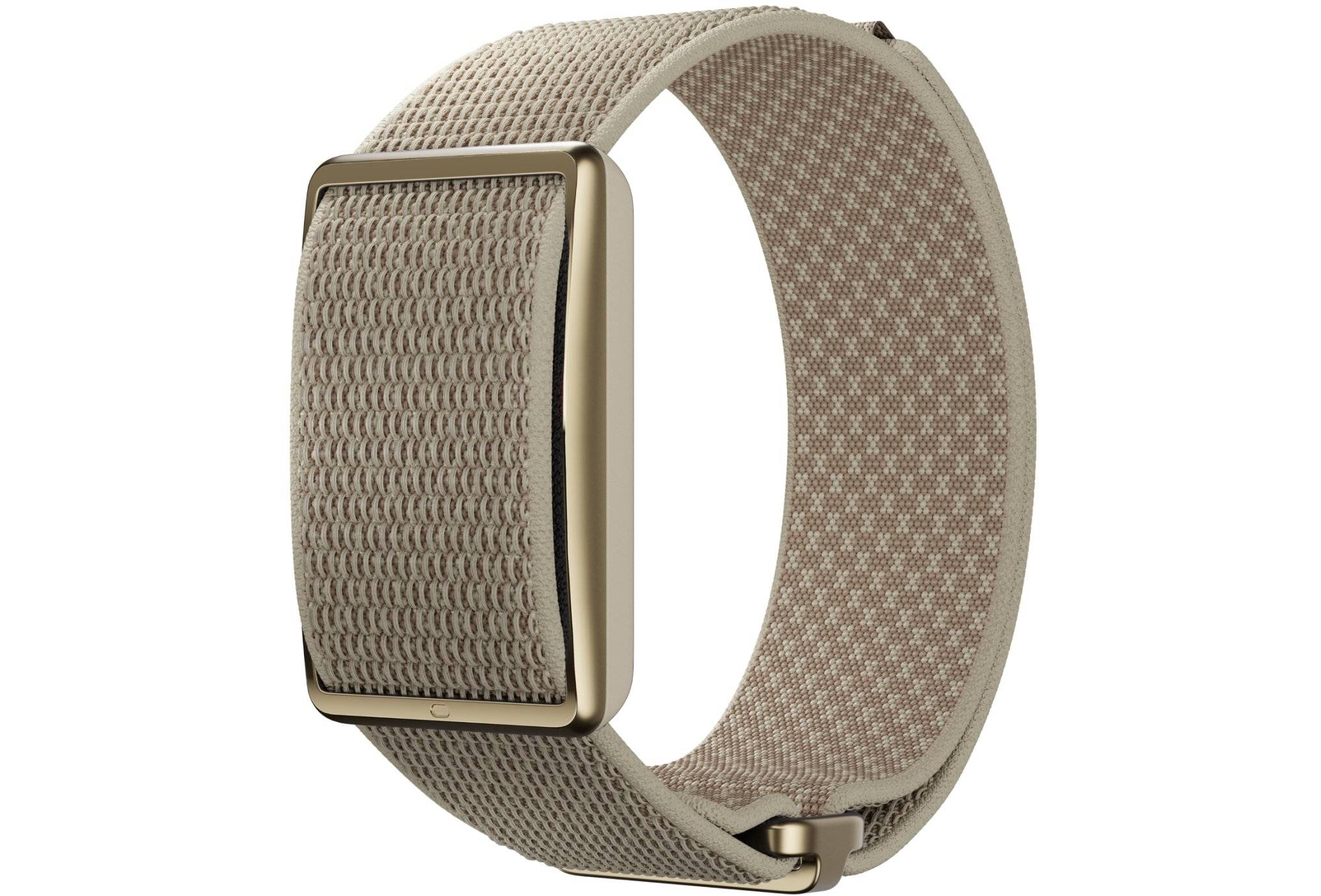 Polar Loop 920115932