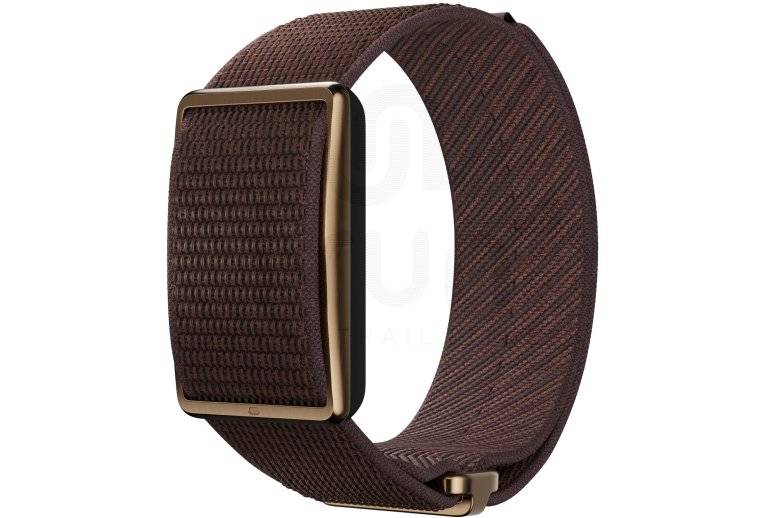 Polar Loop 