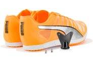 Puma evoSPEED Distance 10 M