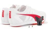 Puma evoSPEED Distance 11 M