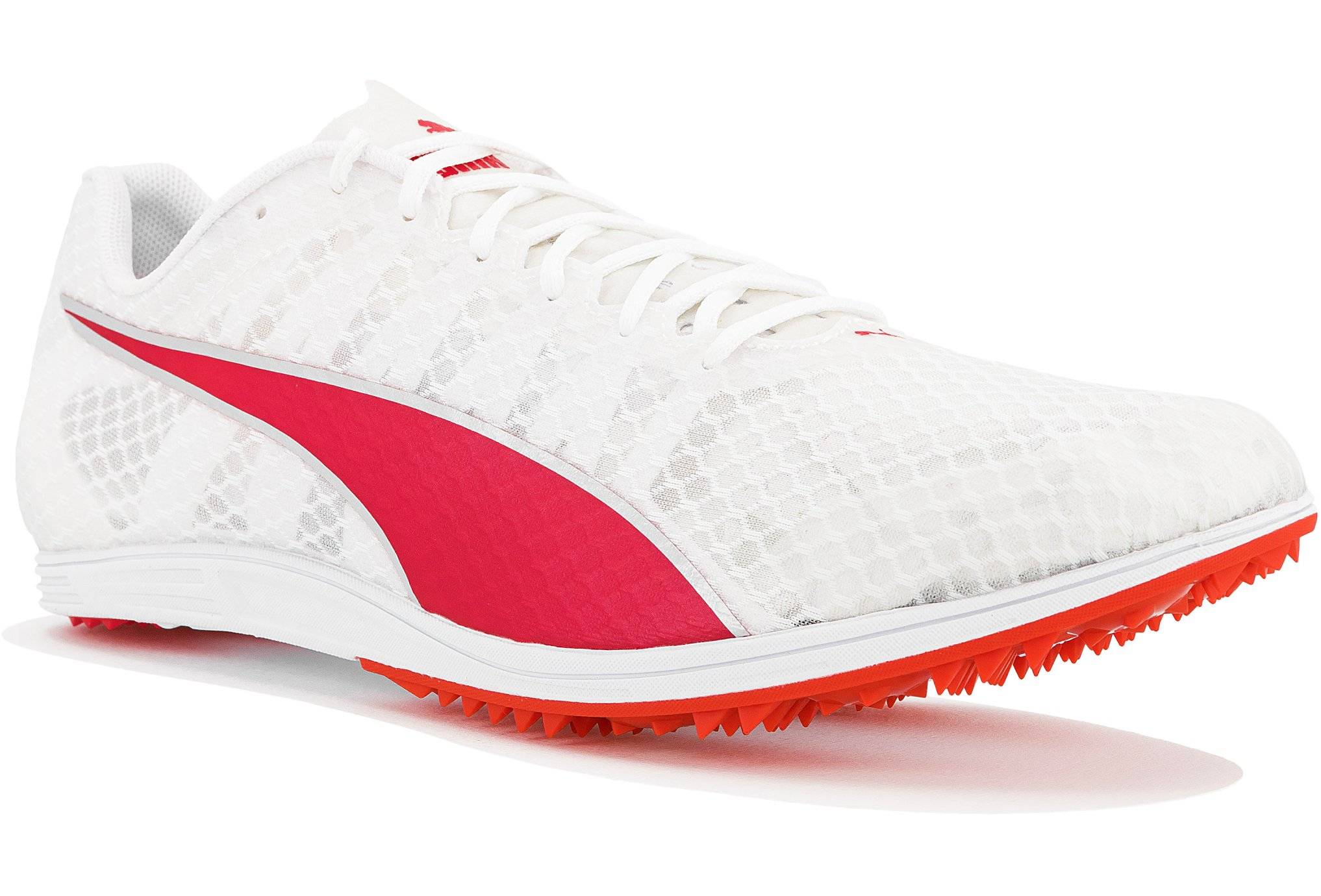 Puma evoSPEED Distance 11 W 