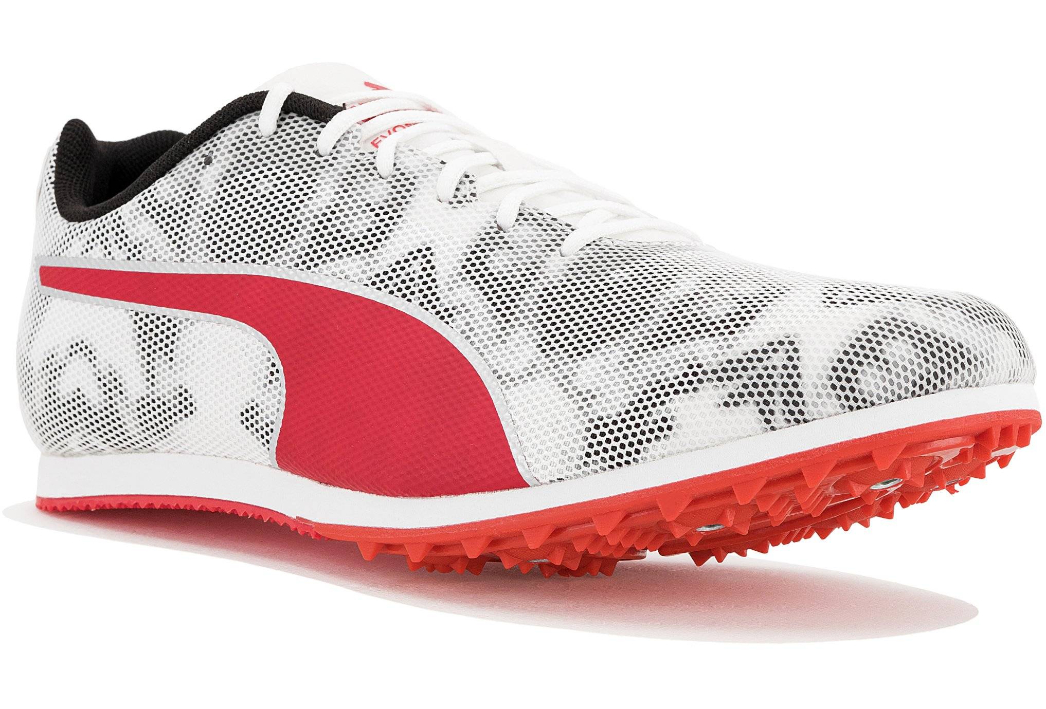 Puma evoSPEED Star 8 W 