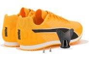 Puma evoSPEED Star 9
