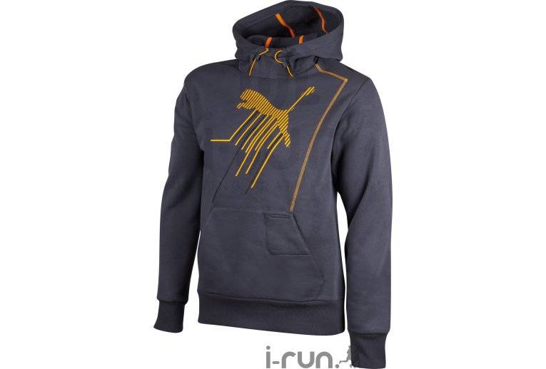Puma Sweat  capuche Training Hooded M 