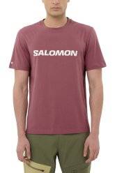 Salomon Big Logo