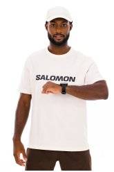 Salomon Big Logo