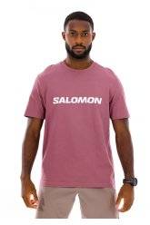 Salomon Big Logo