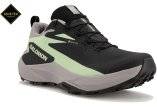 Salomon Genesis Gore-Tex