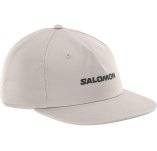 Salomon Logo Flat