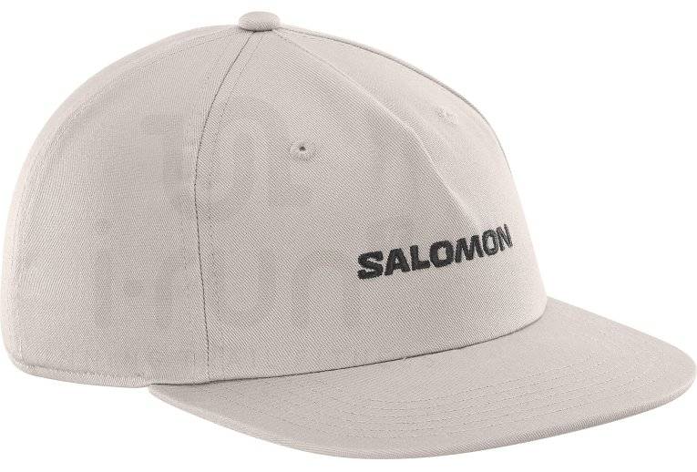 Salomon Logo Flat 