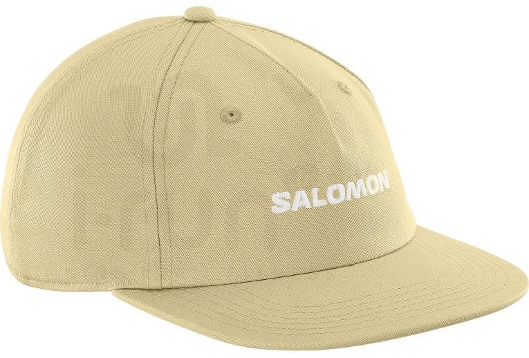 Salomon Logo Flat 