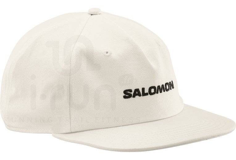 Salomon Logo Flat 