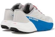 Salomon Pulsar