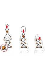 Salomon Quicklace Kit 