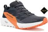 Salomon Sense Ride 5 Gore-Tex M