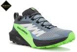 Salomon Sense Ride 5 Gore-Tex M