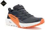 Salomon Sense Ride 5 Gore-Tex M