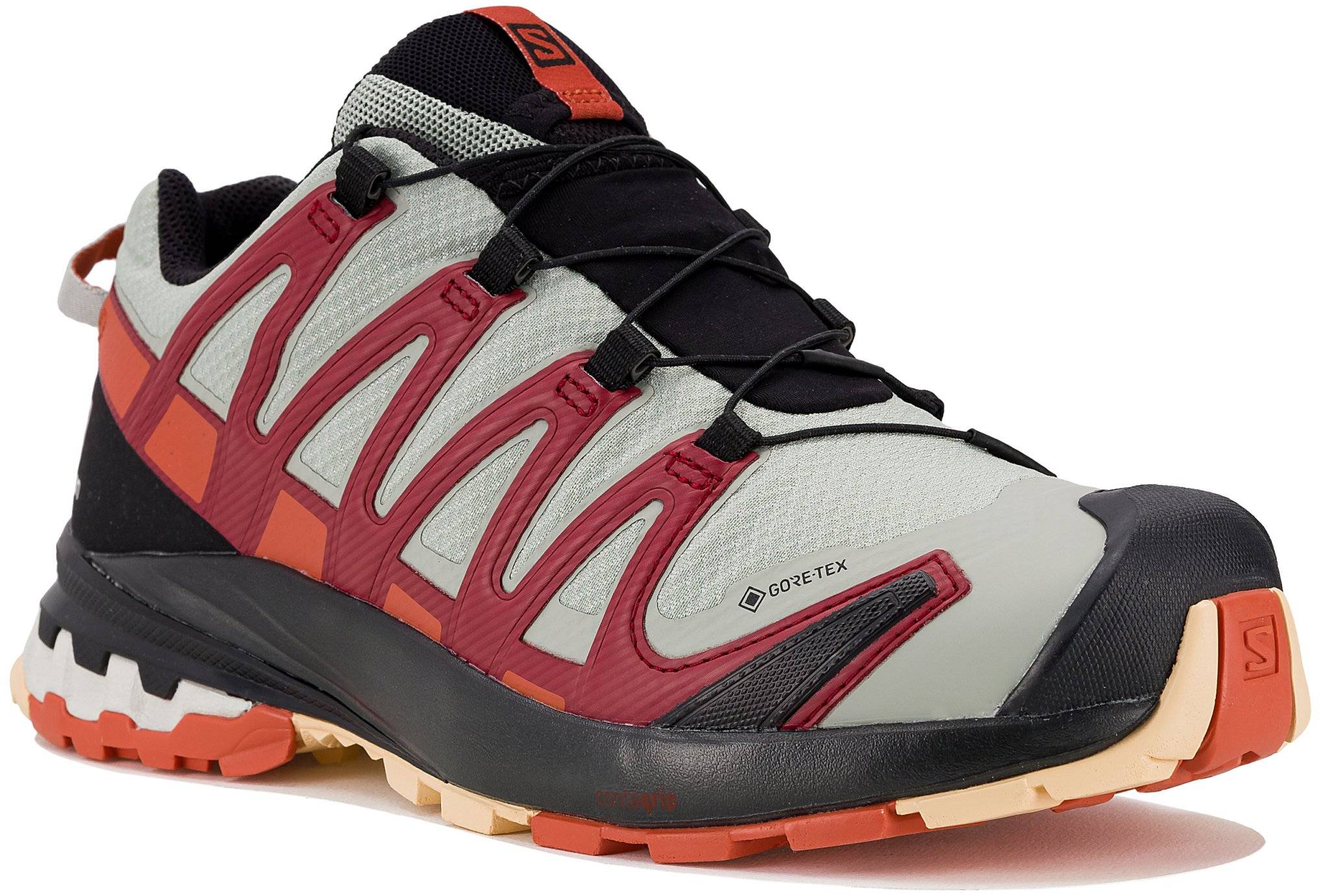 Salomon XA PRO 3D v8 Gore-Tex W 