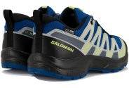 Salomon XA PRO V8 WP