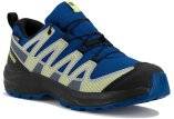 Salomon XA PRO V8 WP